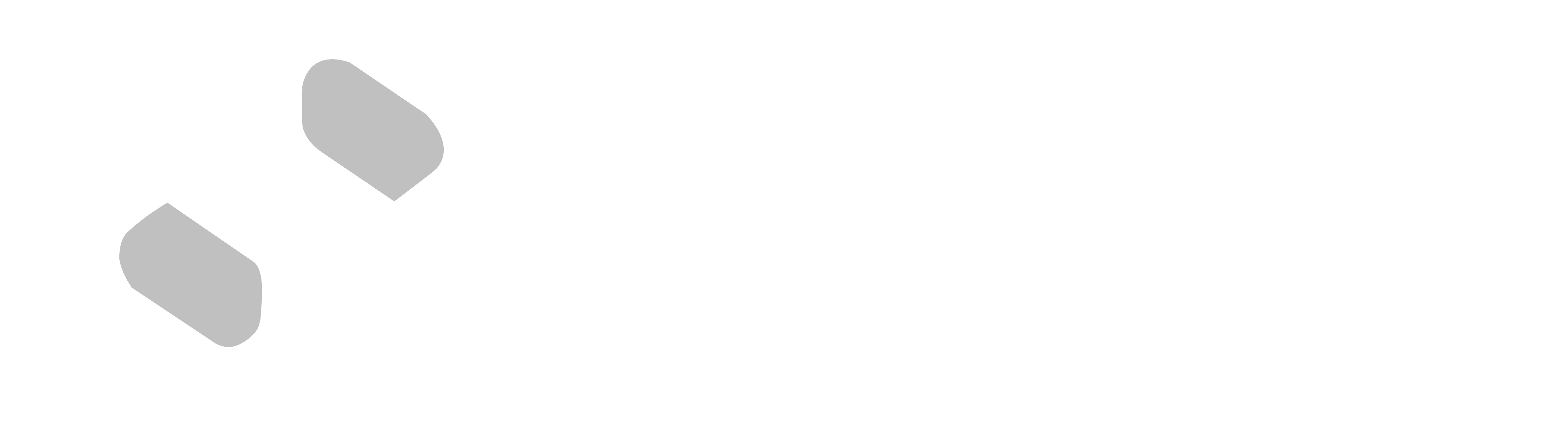 Codexces Logo